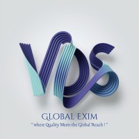VDS Global Exim logo - Similar company to Eminence Engineering