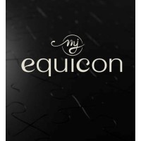 EquiCon GmbH logo - Similar company to Msnet International Partners Project System Engineering