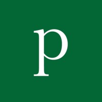 Publir logo - Similar company to Traffective