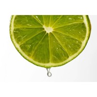 Limones Jade logo - Similar company to Ipc México