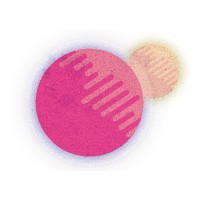 Navona Media logo - Similar company to First Curation