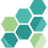 Software Stylers (PVT) LTD logo - Similar company to Codexperts Software Solutions