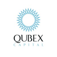 Qubex Capital logo - Similar company to Cr Gessos