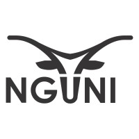 Nguni Parking Solutions