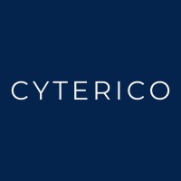 CYTERICO logo - Similar company to 300Plus Consulting Services