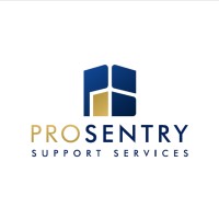 Pro Sentry Dual Management Ltd logo - Similar company to Systematic Security
