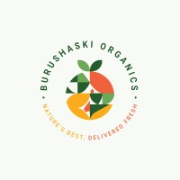 Burushaski Organics logo - Similar company to Illustrix Studio