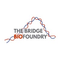 The Bridge Biofoundry logo - Similar company to Inclueduca