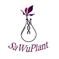 Sawuplant logo - Similar company to Proyecto Especial Jequetepeque Zaña - Pejeza
