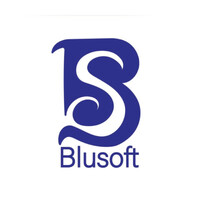 Blusoft Software Istanbul logo - Similar company to Ropilo Software