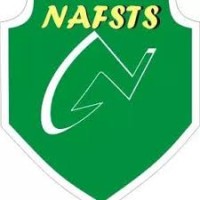 NAFSTS OAU CHAPTER logo - Similar company to Muslim Students' Society Of Nigeria, Mssnoau Branch, Ile-Ife