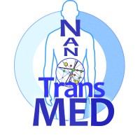 NANOTRANSMED logo - Similar company to Uhv Design Ltd