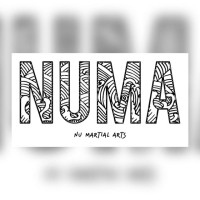 Nu Martial Arts logo - Similar company to Fima Martial Arts