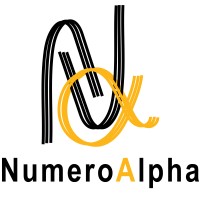 NumeroAlpha logo - Similar company to Admire Information Technologies