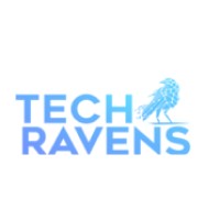 The Tech Ravens logo - Similar company to Tech Mayhem