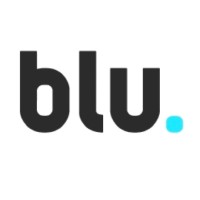 Blu Finance Consulting logo - Similar company to Blu Finance