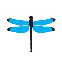 Dragonfly Digital Marketing logo - Similar company to Aspire Digital Solutions