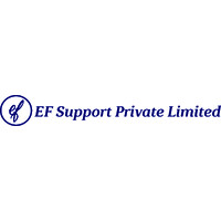 EF Support logo - Similar company to Lynbrookfs Cloud Based Financial Services