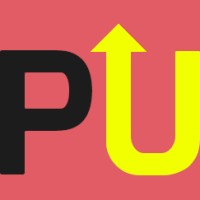ProcessUs Solutions Inc. logo - Similar company to Datapotion Analytics Inc.