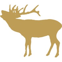 Vicars Game Ltd logo - Similar company to Slikhaarshop A/S