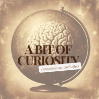 A Bit Of Curiosity