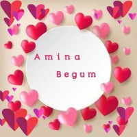 Amina Begum logo - Similar company to Narinder Kaur
