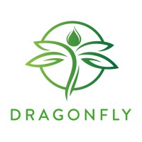Dragonfly logo - Similar company to Cea Industries Inc.