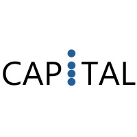 Capital Impetus, LLC logo - Similar company to Renew Developers