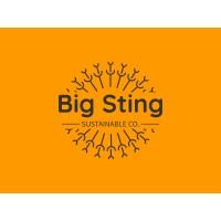 Big Sting Sustainable Co logo - Similar company to The Good Games