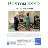 Boston Irish logo - Similar company to Managedlab Services