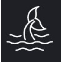 Deep Blue Partners