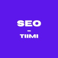 SEO-tiimi logo - Similar company to Akselion