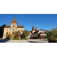 Schloss Münchwiler logo - Similar company to The Eth Zurich - Epfl Joint Doctoral Program In The Learning Sciences
