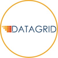 Datagrid Solutions logo - Similar company to Techunido Software Solutions