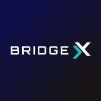 Bridgex Network