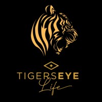 Tigers Eye Life, LLC logo - Similar company to Virtuheroes
