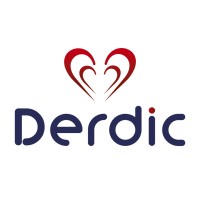Derdic logo - Similar company to Lcp Ibmec
