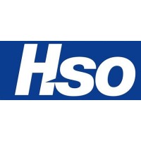HSO Asia logo - Similar company to 2E Consulting
