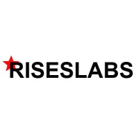 RISESLABS IT Solution Pvt Ltd logo - Similar company to Riseslab