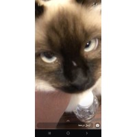 Smart Metals logo - Similar company to Smart Metals Recycling Llc