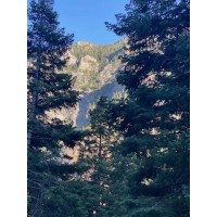 Gemini Environmental, Inc. logo - Similar company to Devmountain