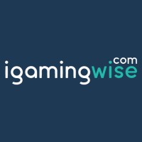 iGamingWise logo - Similar company to Webthat