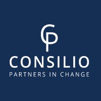 Consilio Partners logo - Similar company to Full Potential