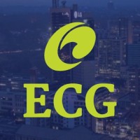 Effulge Consulting Group(ECG) logo - Similar company to Cygnet Systems