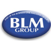 BLM Group - logo - Similar company to Path Intelligence