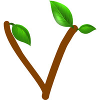 Vancouver International Coffee and Tea Awards Festival logo - Similar company to Ilola Tea