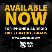 Bandtiger