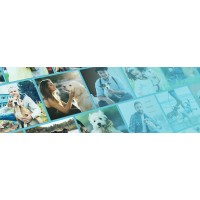 Netmutts Ltd logo - Similar company to Seestattexperts Ag