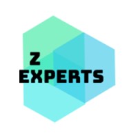 Z Experts Marketing logo - Similar company to Intelli-Payroll