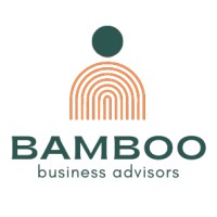 Bamboo Business Advisors logo - Similar company to Scalesystem.Ai
